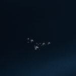 Tkanina gładka tk.114 granatowa obrusowa zasłonowa